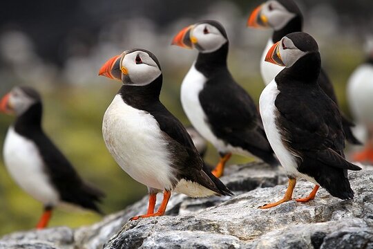Tour image 6