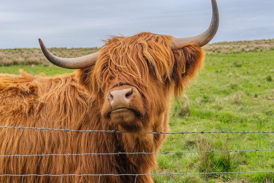Tour image 11
